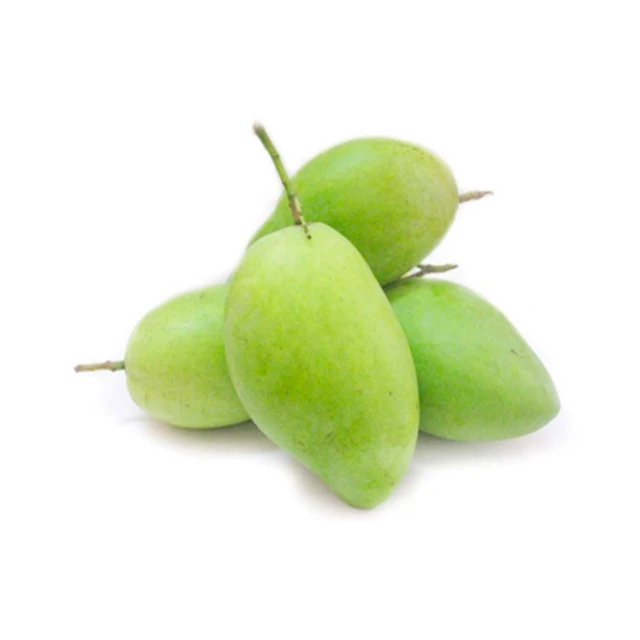 WHOLESALE HIGH QUALITY MANGO PREMIUM GRADE A ALL YEAR ROUND CAT CHU TYPE GOOD PRICES IN VIETNAM FOR EXPORT