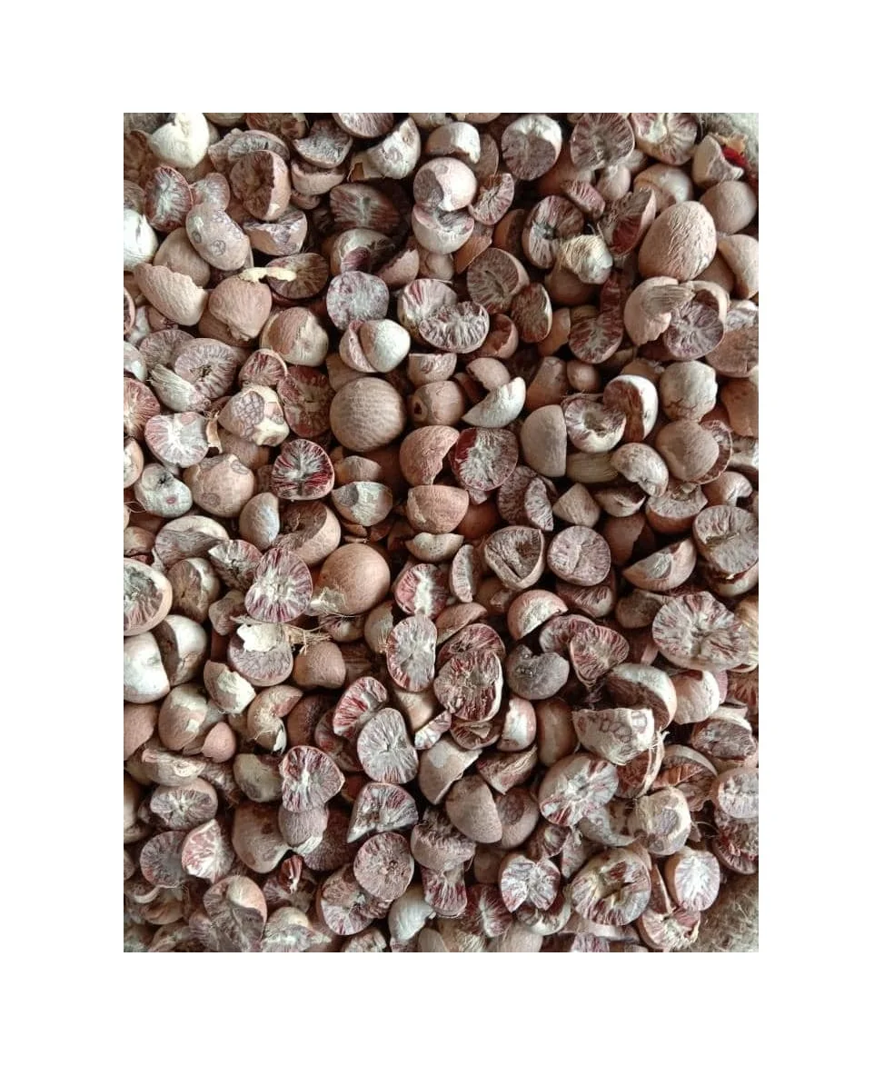 Good Quality New Crop Agricultural Products Dried Betel Nut Dry Arecanuts with Competitive Price for Sale From Indonesia