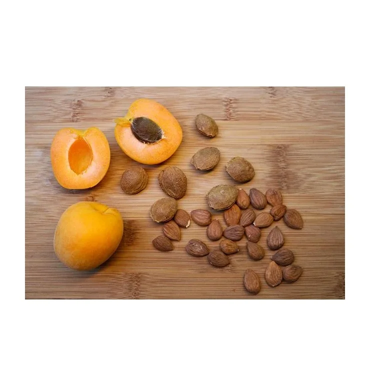 Высококачественные чисто-сырые органические абрикосовые орехи для продажи по самой низкой оптовой цене