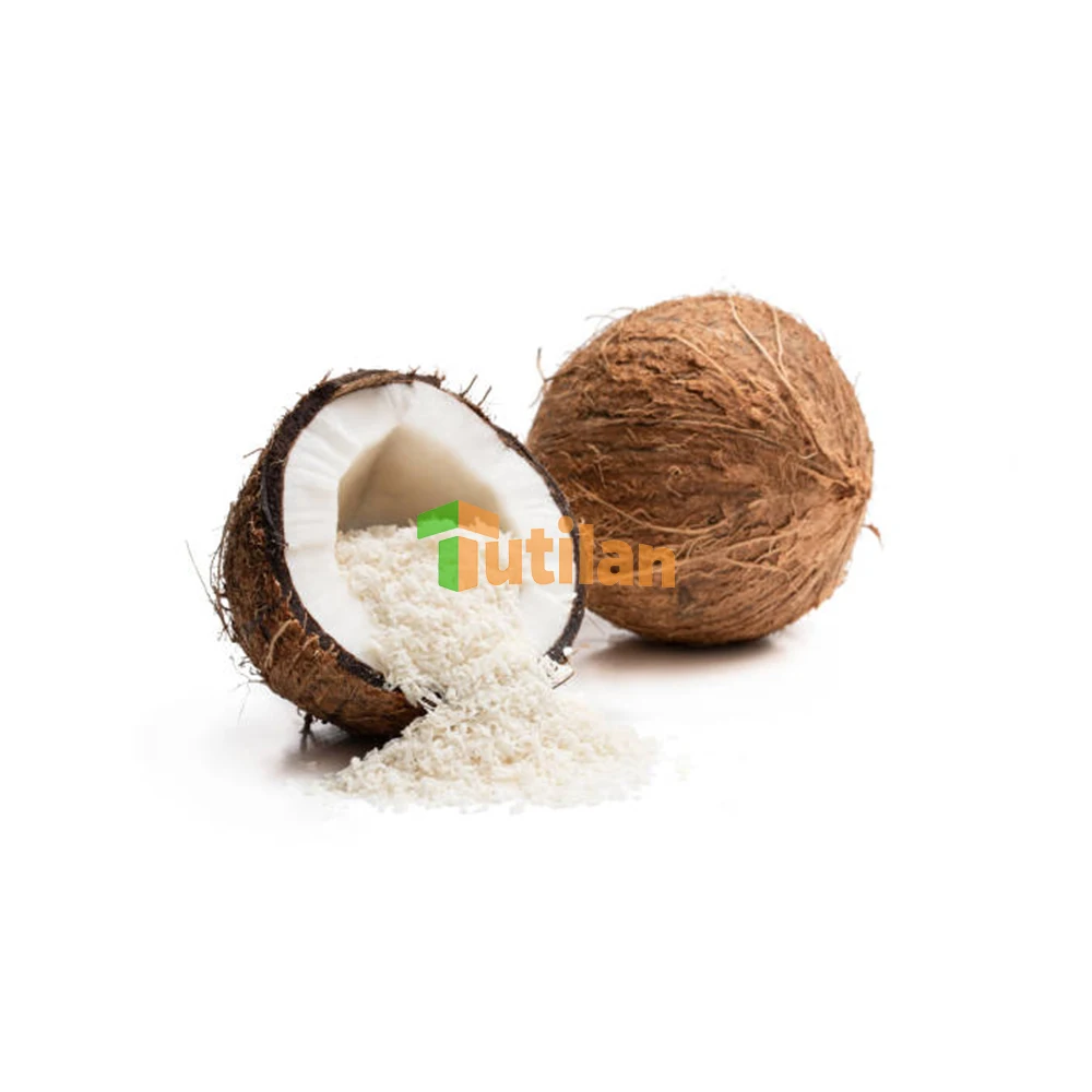 Premium quality wholesales desiccated coconut Vietnam dried desiccated coconut in Ben Tre cheapest price
