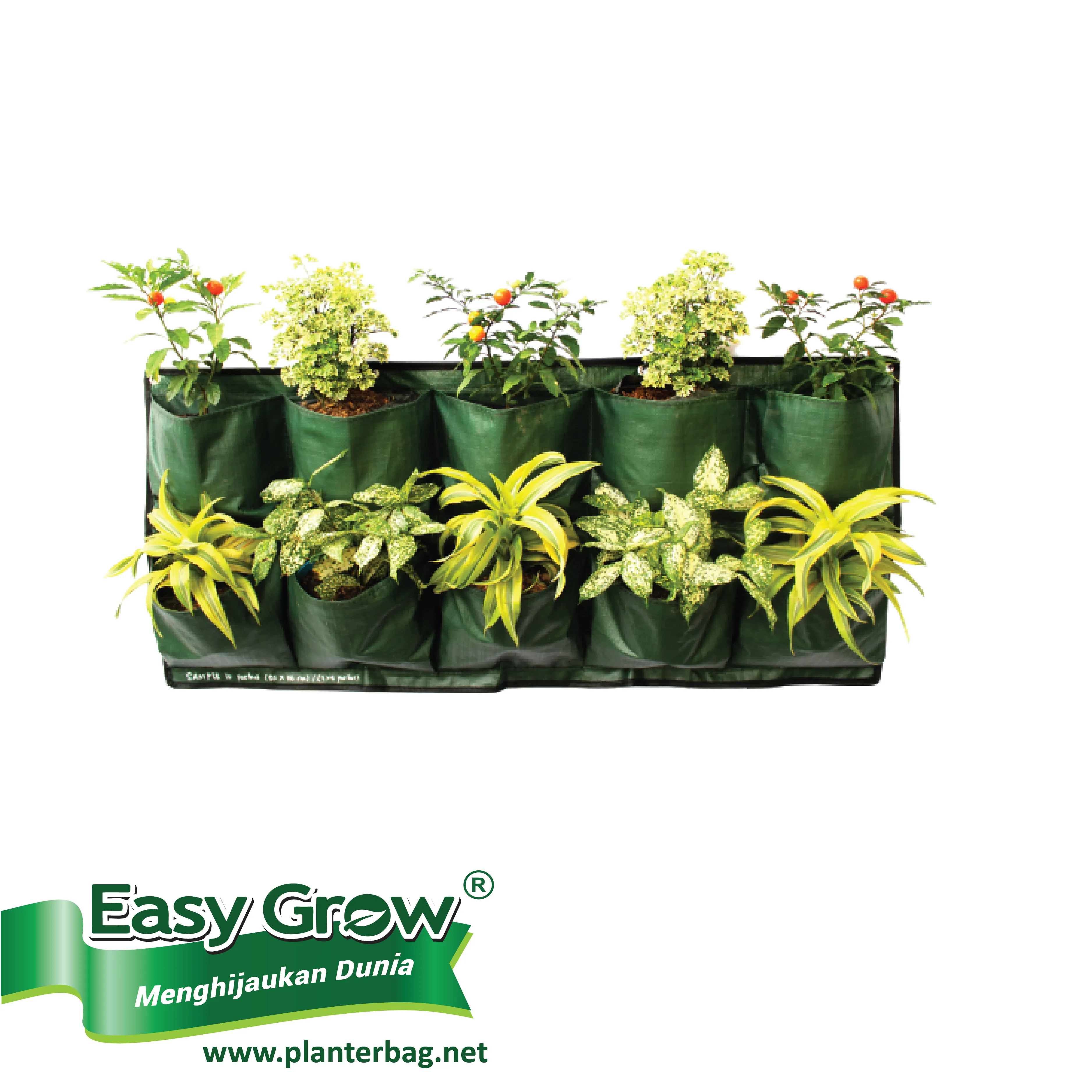 New Design Hanging Plastic Planter green wall planter flower pots & Planter 8 9 10 12 Pockets for Vertical garden