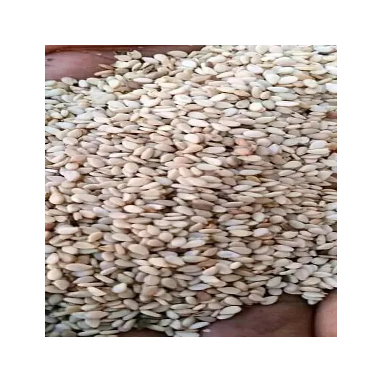Superior Quality Wholesale Supply Nigeria Origin Export Raw Dried Egusi Seeds / White Melon Seeds for Bulk Buyers