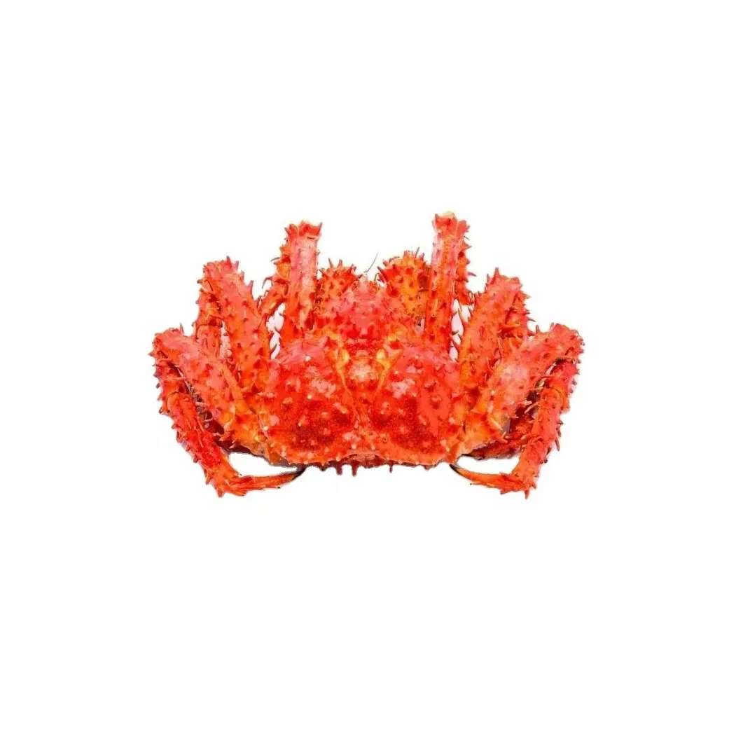 Fresh Frozen and Live Mud Crabs Red King Crabs Soft Shell