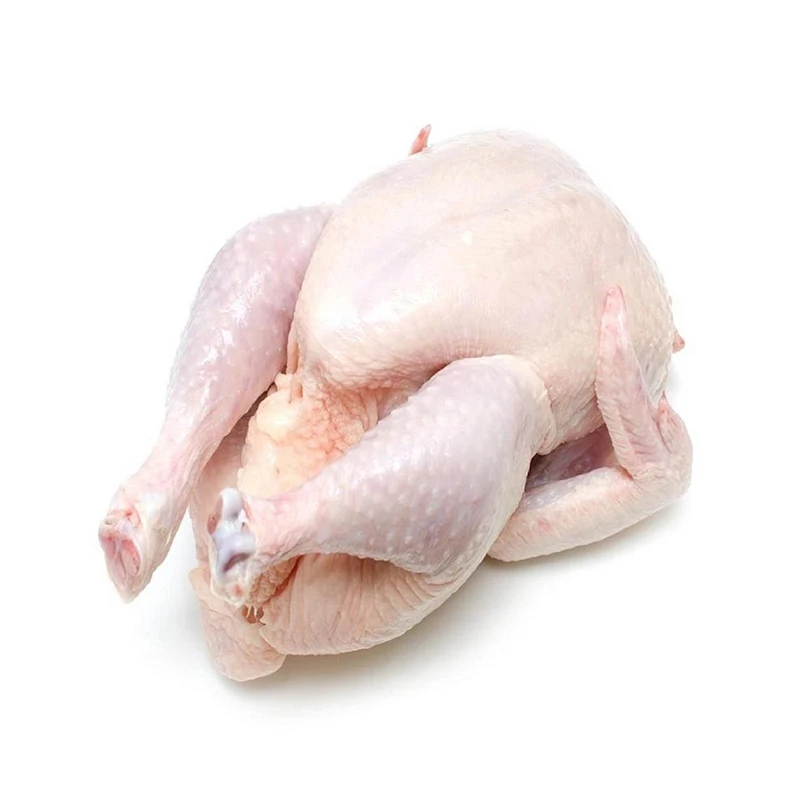 Premium Quality Frozen Chicken For Sale - Whole Frozen Chicken At Good Price Rate