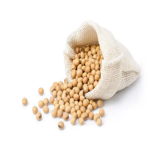 Sprouting and Food Grade Yellow Soybeans / Top Quality Dried Soya Beans Non - gmo Soybeans