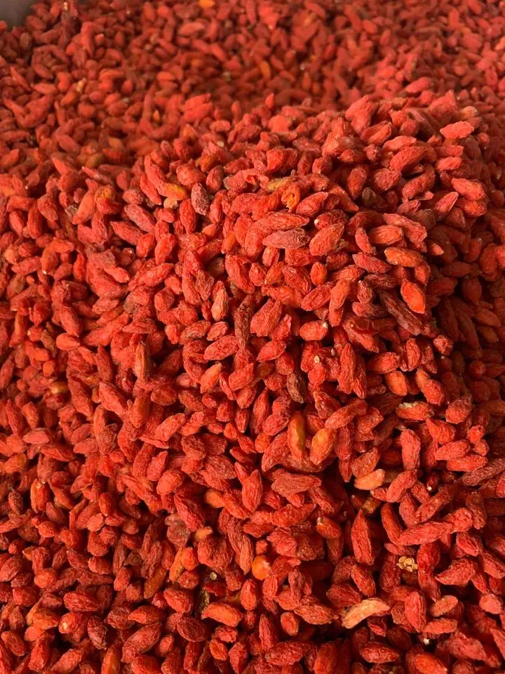 99 Gold Data Vietnam Organic Dried Red Goji Berries Super Food Low Maintenance Super Fruit Diet Healthy Foods Asian