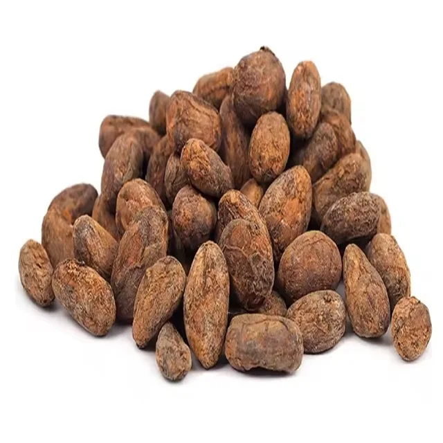 High Grade Ivory Coast Cacao Raw Cocoa Beans