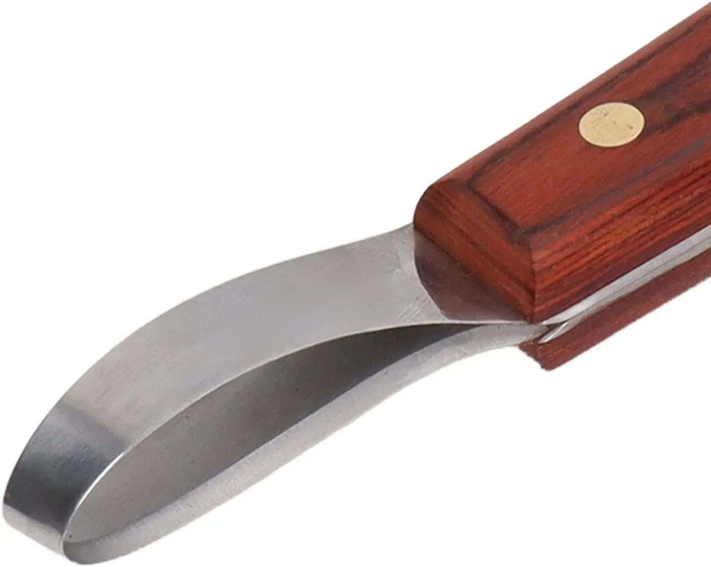 Elegant Abscess Loop Knife with Wooden Handle Rainbow Color Sharp Blade Hoof Cutter Oval Shape Trimming and Cleaning