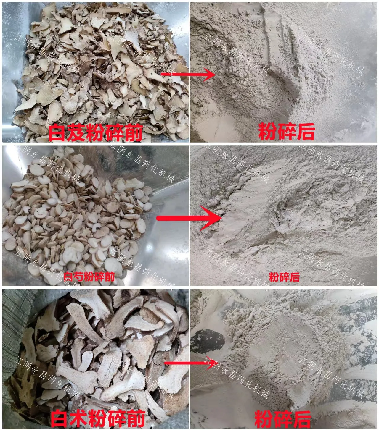 Chamomile Basil Leaves mixture grinding machine for food