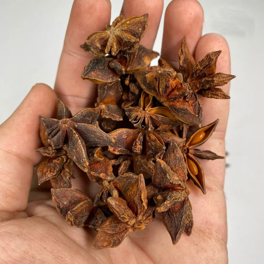 High Quality Dried Star Anise New Crop Spices for Cooking Wholesale Bulk Cinnamon Seed and Herb at Low Prices