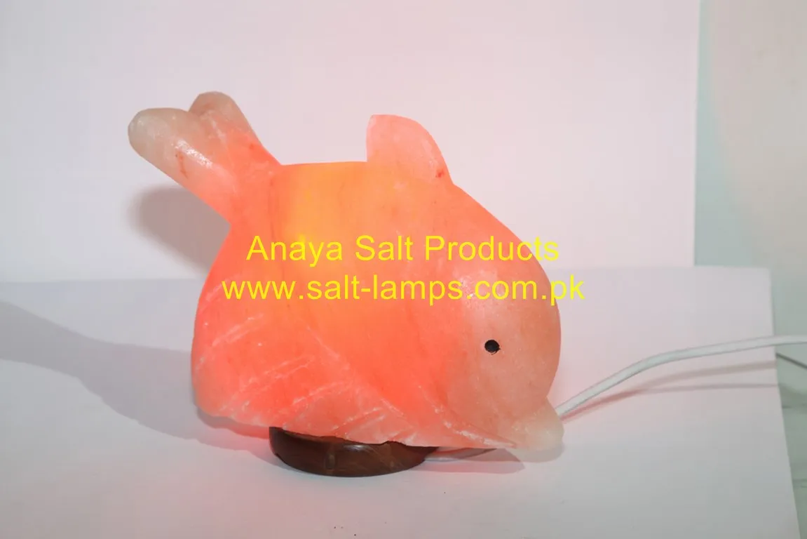 Himalayan Elephant Shape Red Rock Salt Crystal Lamps / Himalayan Animal Shape Salt Lamps