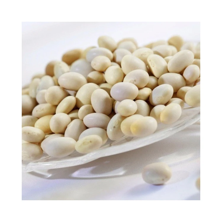 IQF Organic Frozen Lima Beans High Quality Canned Lima Beans for Sale