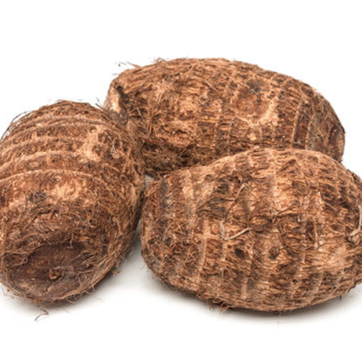 New Crop  taro root factory supply fresh vegetables fresh Taro EDDO  Coco yams