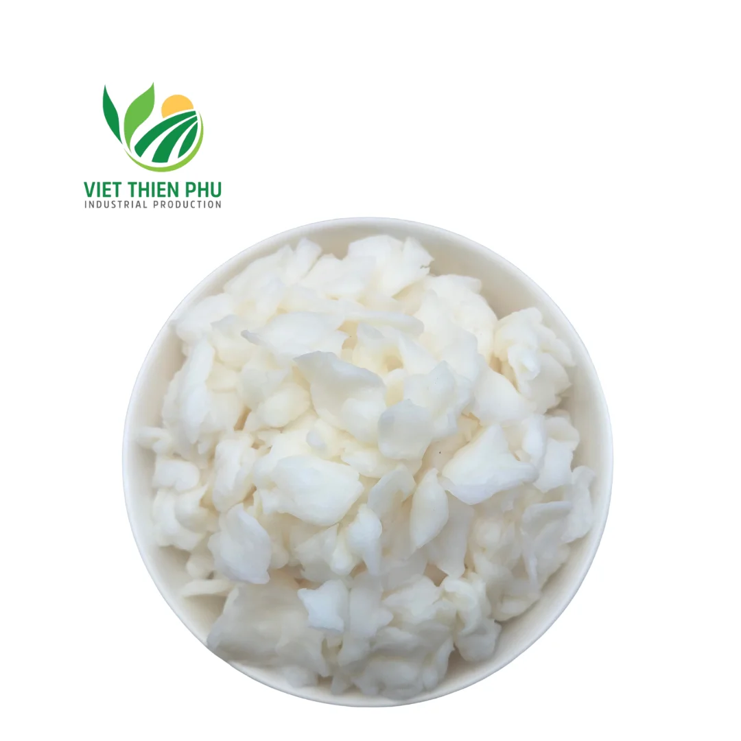 VIETNAM RAW NATA DE COCO/DRIED COCONUT JELLY-BEST QUALITY COCONUT PRODUCTS 100% FROM NATURAL