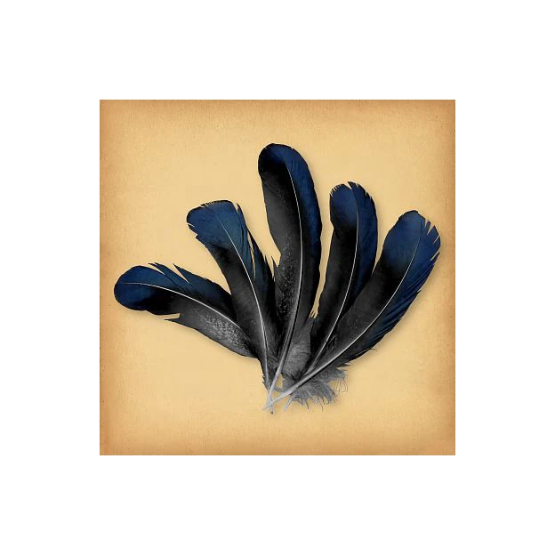 New Factory Price Soft Warm White Duck Feather Machine Washable Down Duck Down Feather For Home Textiles and Other Decoration