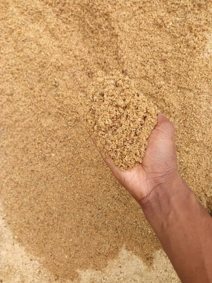 High Quality Stone chips, Stone sand cheap price sylhet sand Btma complete stone sand crushing from Bangladesh