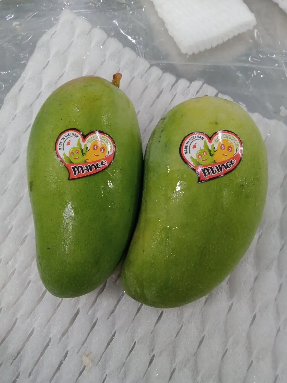 Organic Vietnam Green Mango Sweet/Sour Tropical & Sub-Tropical Fruit Fresh Agriculture Product