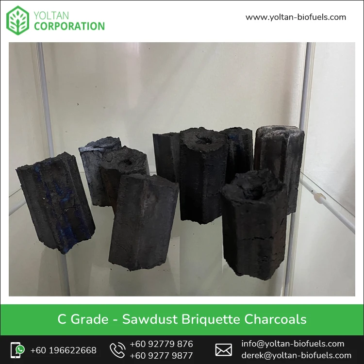 Reliable Market Price Bulk Selling C Grade Sawdust Briquette BBQ Charcoal from Trusted Malaysian Exporter