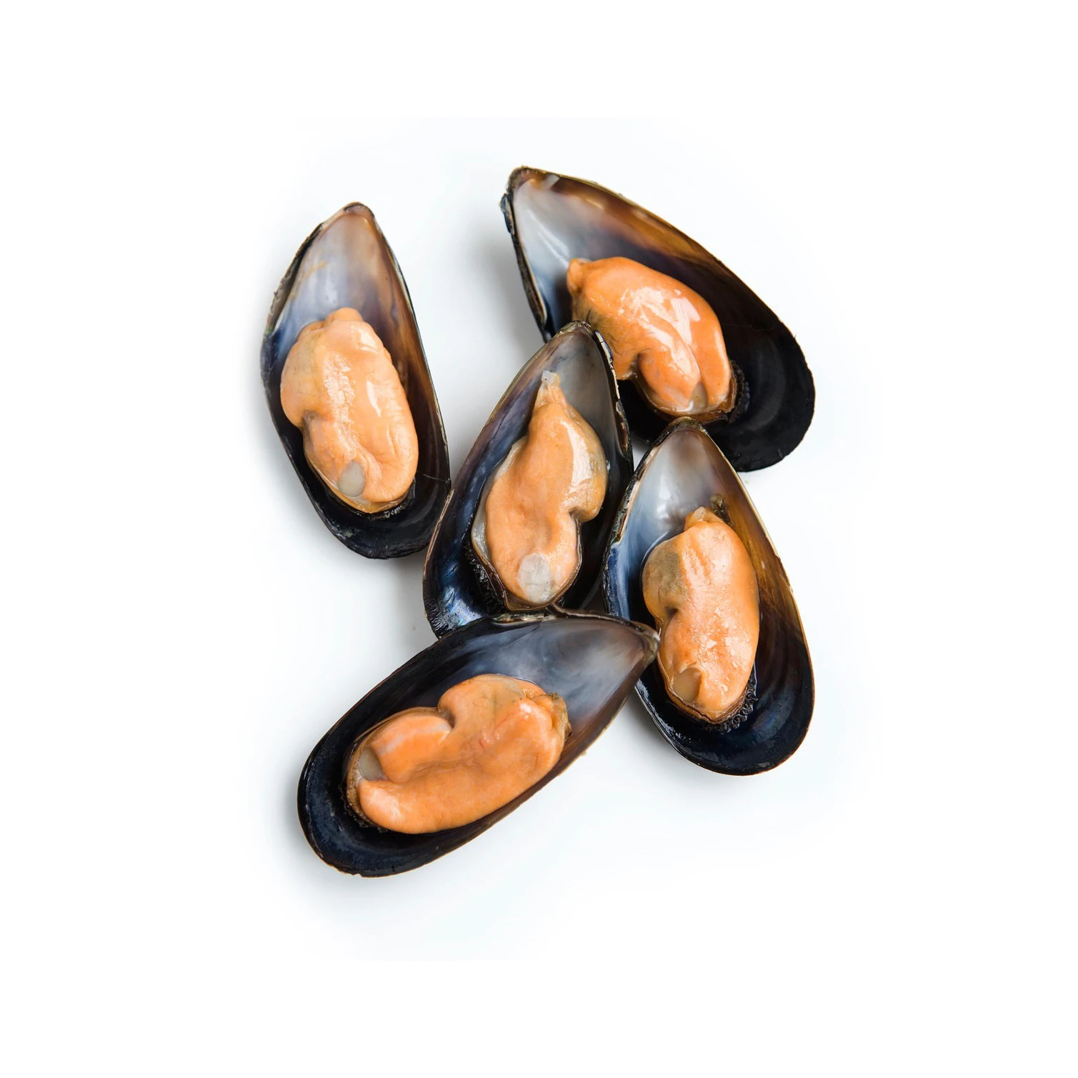 Hot Sale Seafood Importers Mussels In Shellfish Import Export Frozen Seafood High Quality Frozen Half Shell Mussel