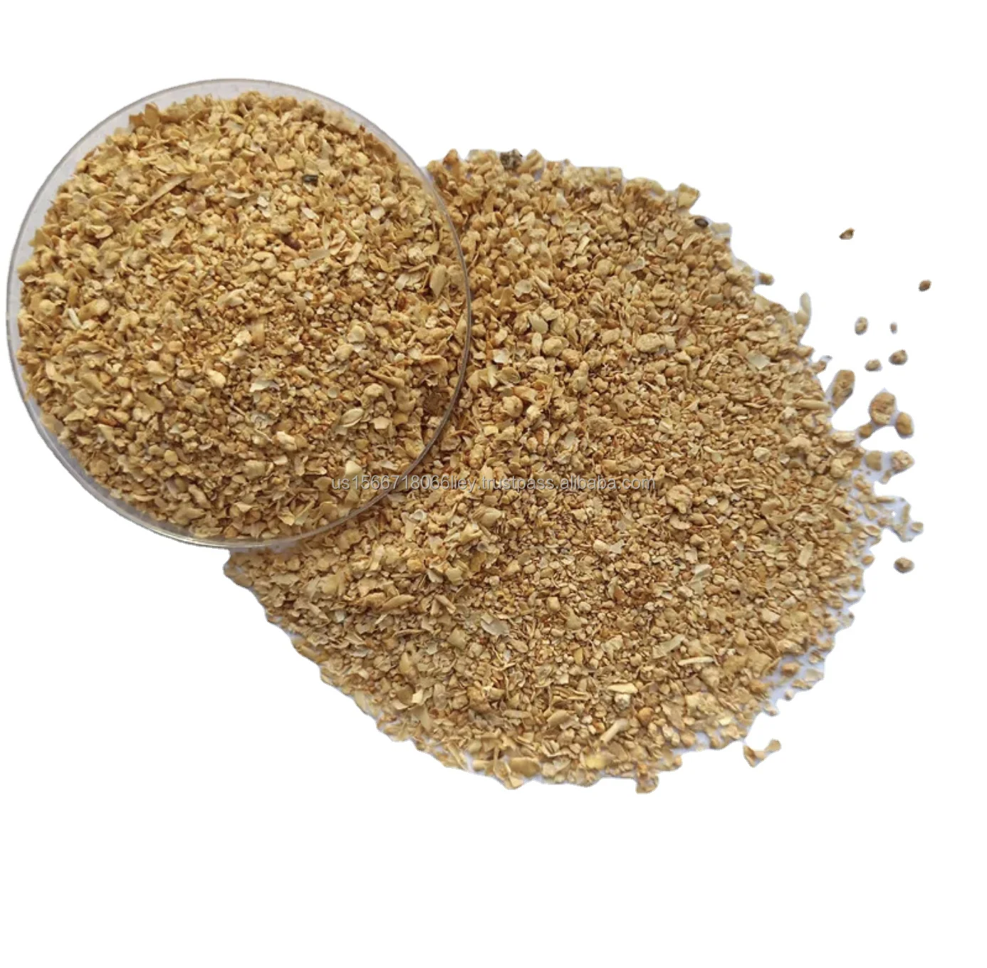 High Protein Wheat Bran Wholesale for Livestock Feeding Best Animal Feed Supplier