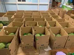 The Best Fresh Durian , Tropical Fruit, Vietnam Export products to China, Thailand, Malaysia, Turkey Fresh Durian Fruit