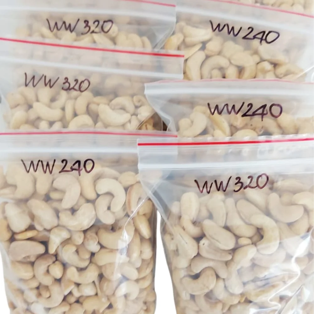 Vietnam Factory Cashew Nuts W320 W240 Kaju Badam Snack Cashew Nut Processing Machine Automatic Inbox Whatsapp Now +84931697868