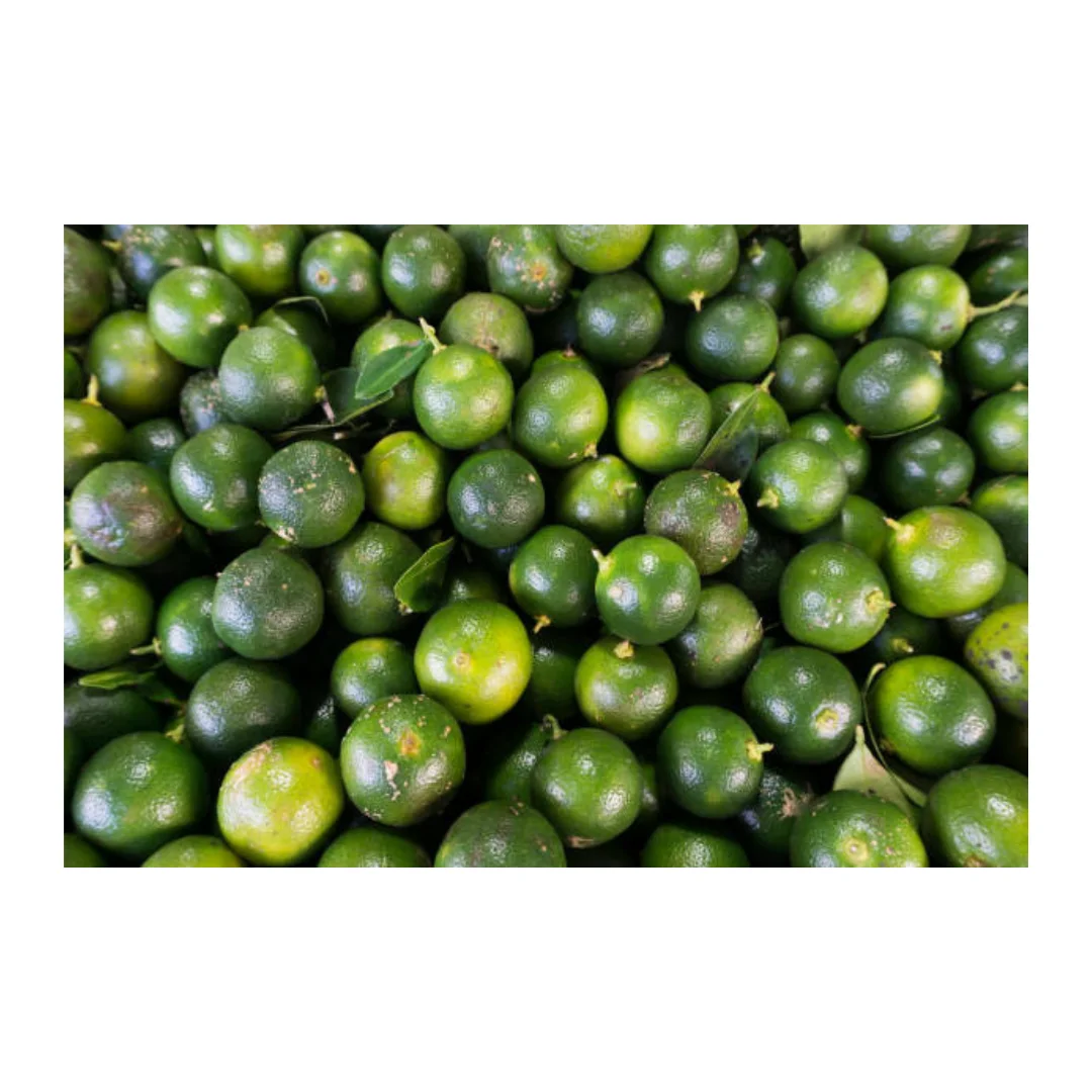 LMC Taiwan Supplier Calamansi Concentrated Juice Fruit Juice Beverages Drinks