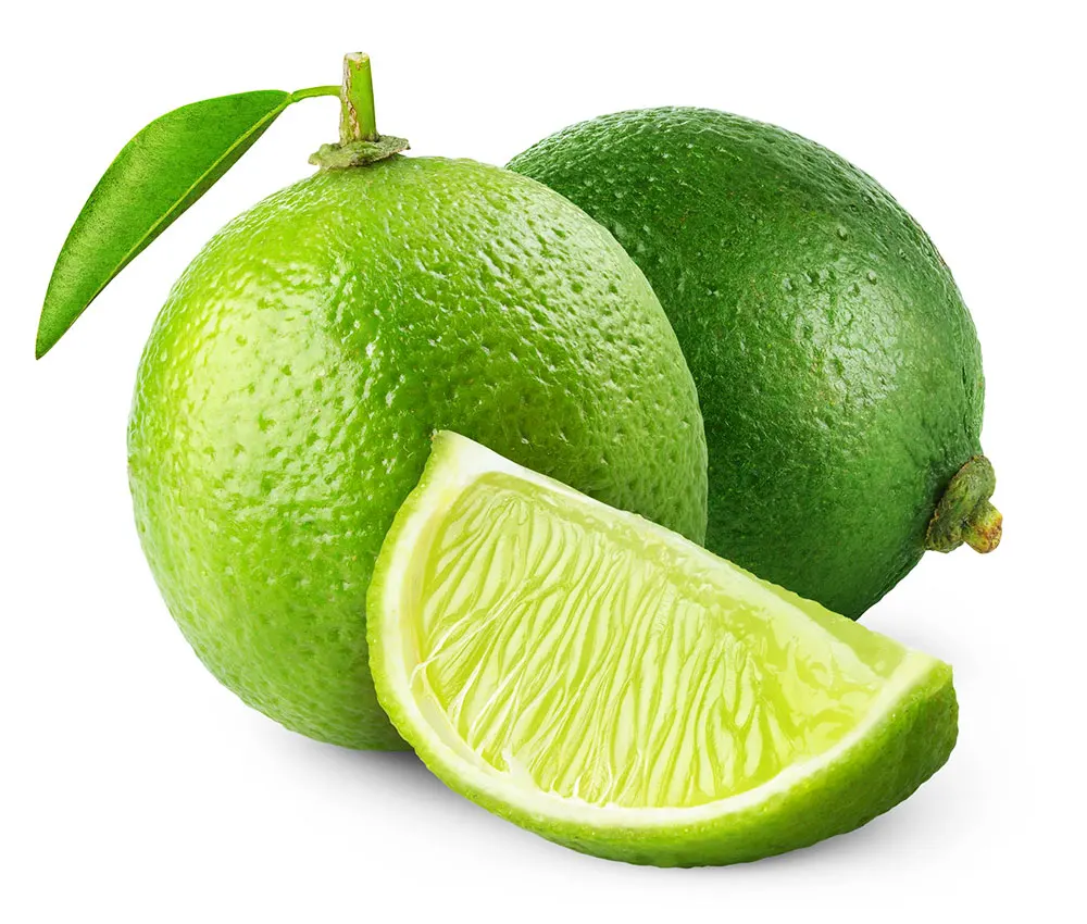 Citrus Fruit Vietnam Fresh Seedless Lime - High Quality Lime - Top Quality Product Export from Vietnam