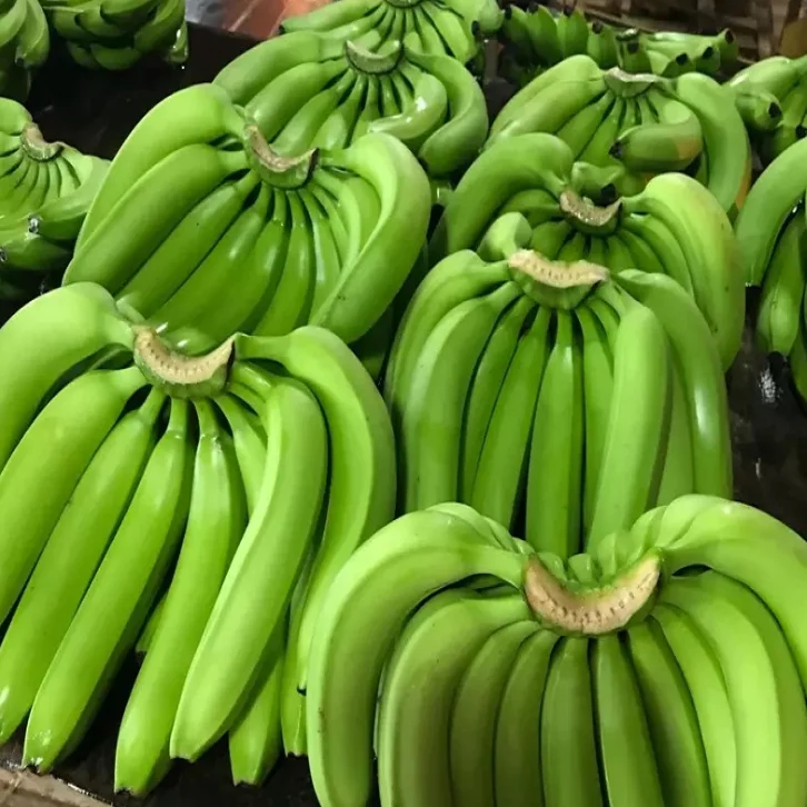 Top Quality Fresh Cavendish Bananas in Bulk - Fresh Fruits Cavendish Banana Wholesale Price Export Quality