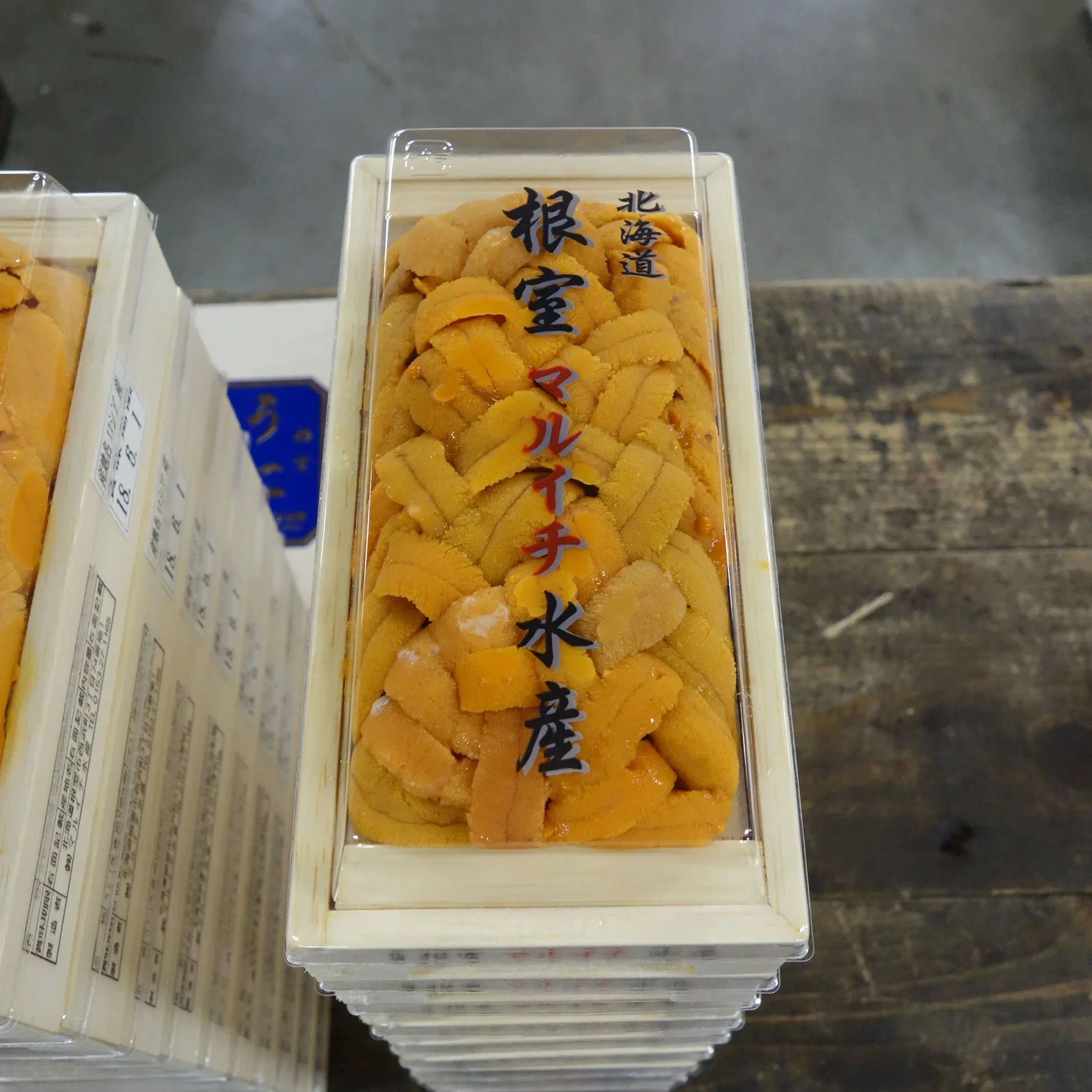 Japanese shell Fresh sea urchin