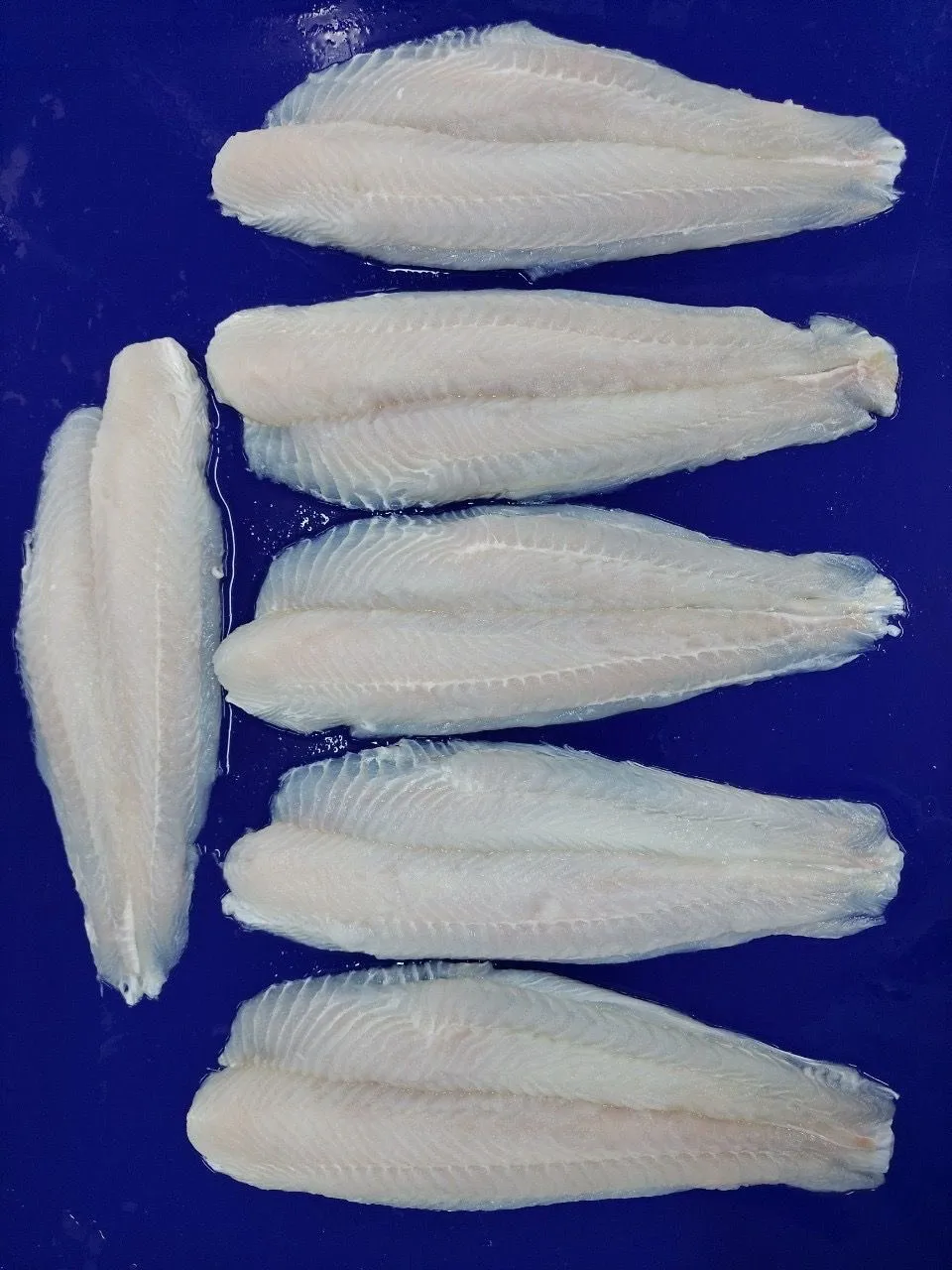 WHOLESALE FACTORY PRICE 100% HIGH QUALITY WHITE WELL TRIMMED PANGASIUS FILLET IQF Frozen fish seafood pangasius fillet