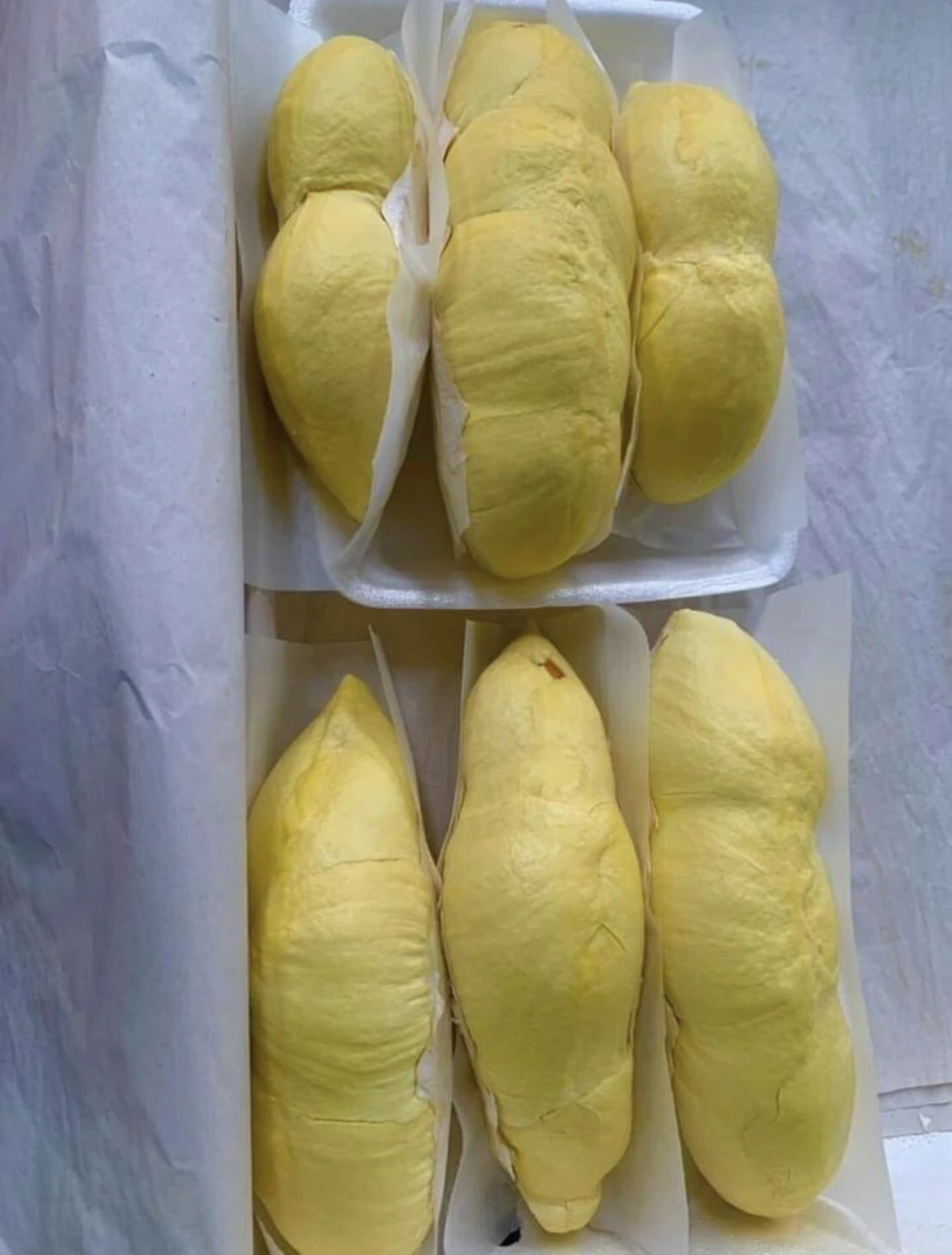 Premium Fresh Durian from Thailand 100% Natural Premium Grade of Durian Mon Thong  with Best Taste