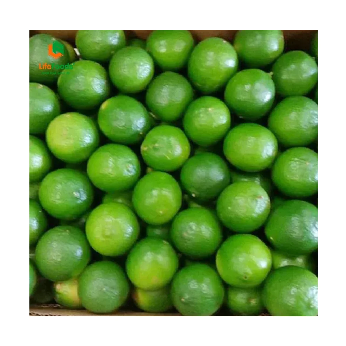 Lime Green OEM Package Weight Size Low MOQ Support Grade lemon Fresh Seedless Lime Lifefoods from Vietnam