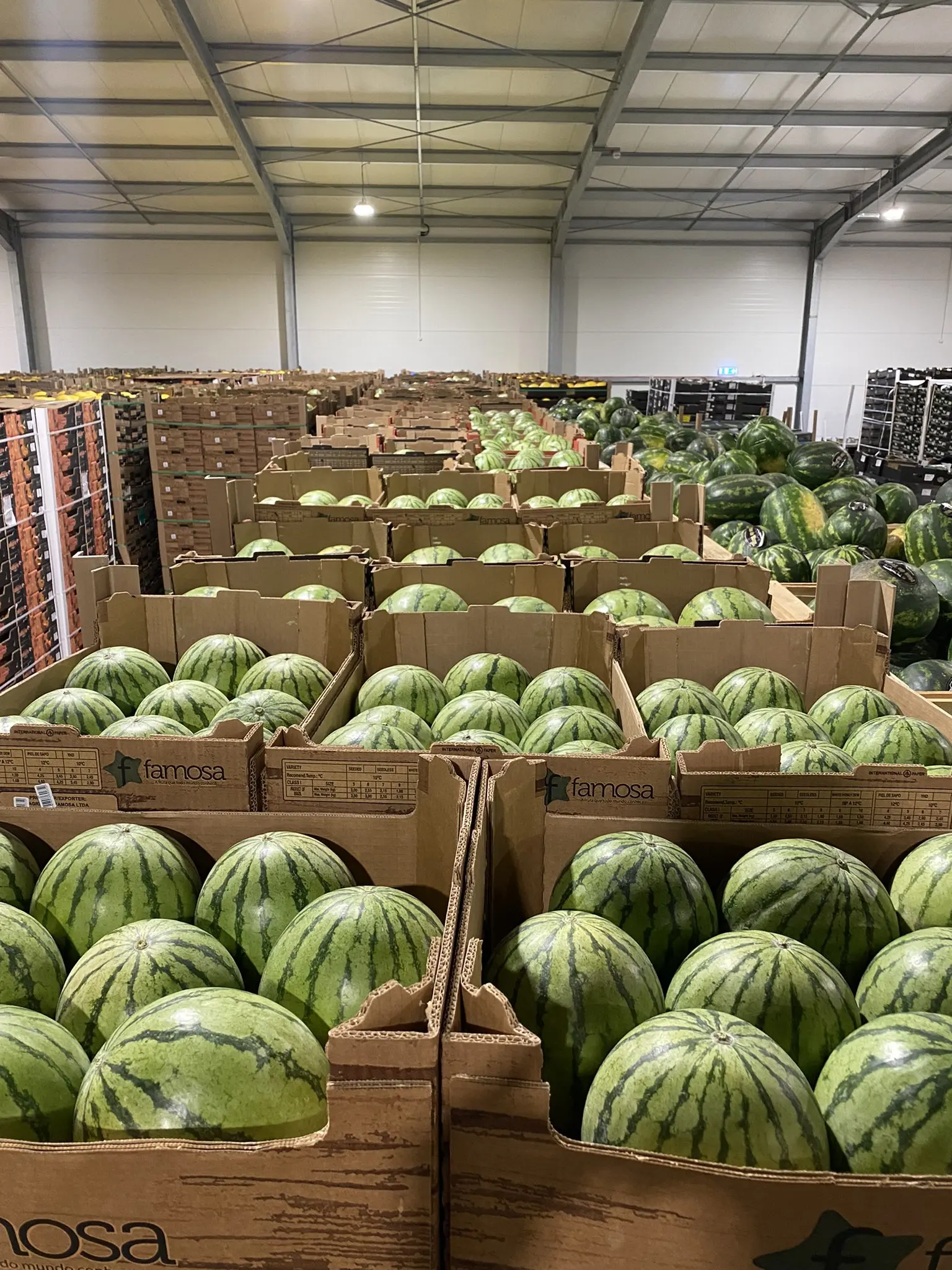 melons warehouse.jpeg