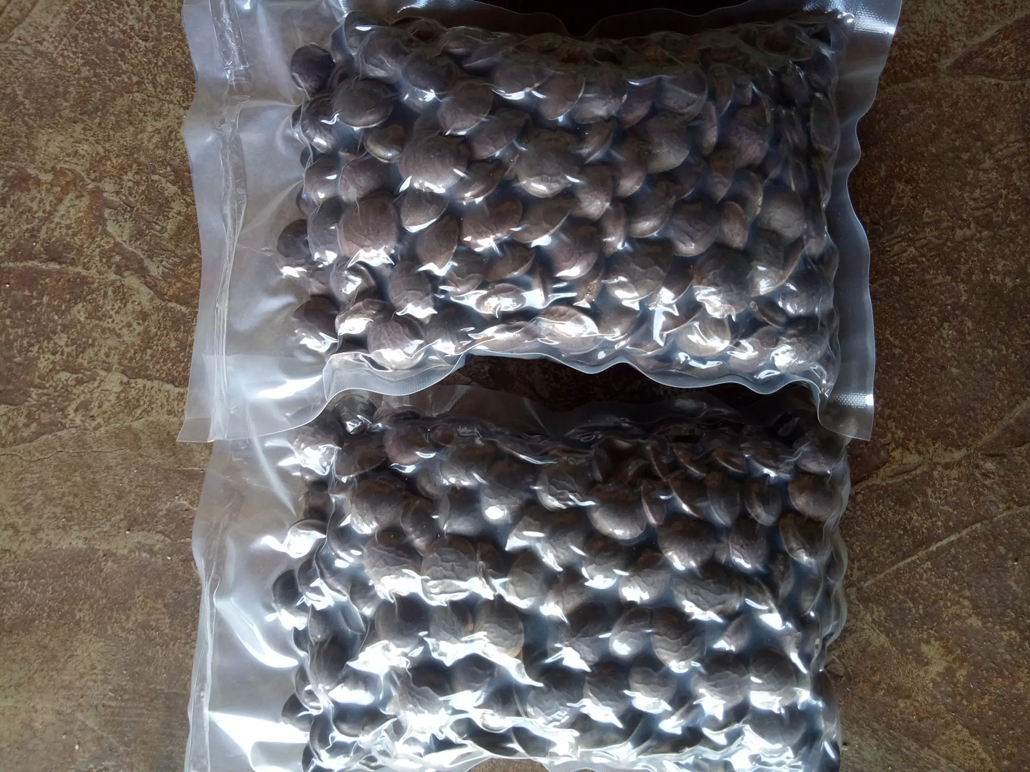 Высококачественная Белковая сырая Сача-инчи с оболочкой орехи сачи арахисовая Инка по конкурентоспособной цене/Лима + 84 346 565 938