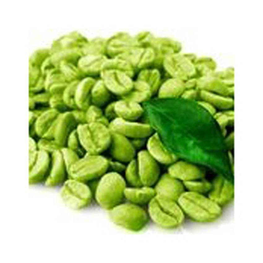 Wholesale Brazilian High Quality Green Beans Coffee With Best Price For Import Good Quality Raw Coffee Beans