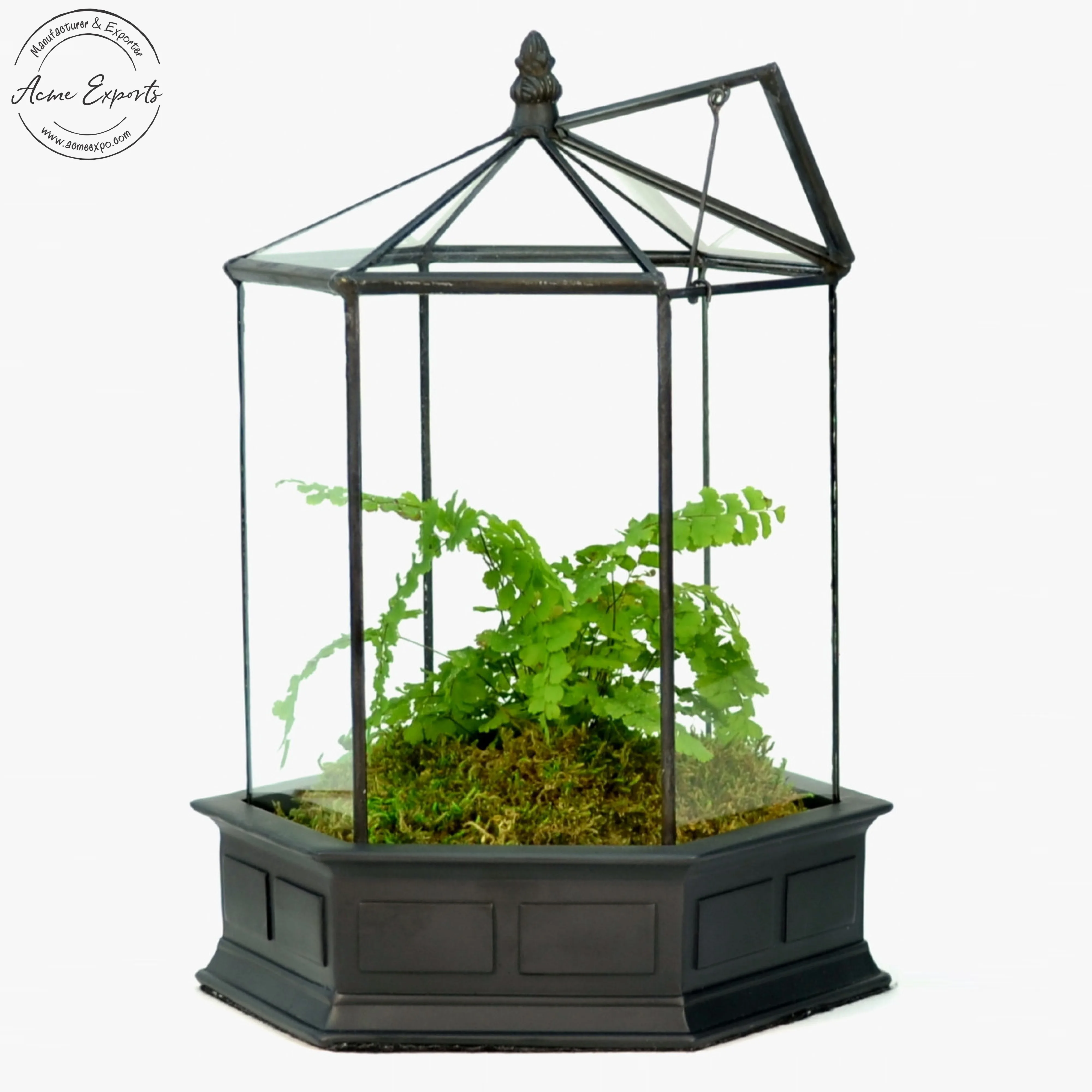 Luxury Quality Tall Hexagon Geometric Succulent Iron & Glass Terrarium with Black Finished for Garden Plants Pot Indoor Plant.