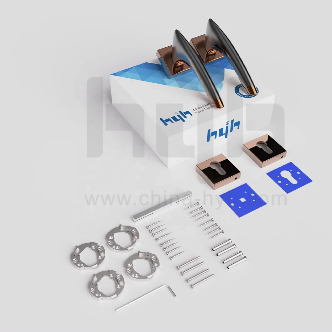 Guangdong-hyh hardware New Patent Zinc Exterior Rosette Antique Brass Door Handle in Turkey