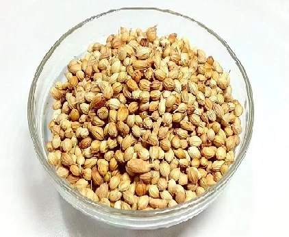coriander seed available for sales at low market price