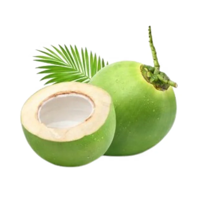 Vietnam Export Fresh Coconut with Farm Price / Diamond Shape Young COCONUT Market Price Wholesale