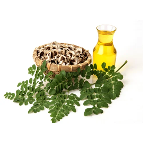 Высококачественные семена Moringa высшего качества