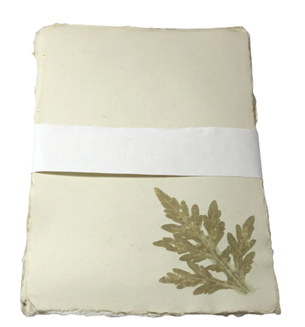 Recycled Handmade Cotton Paper Absolutely Wood / Acid Free Deckle Edged (Natural Edged) A4 Letter Heads Stationery Set