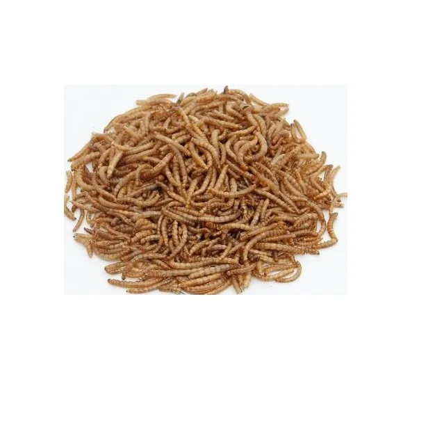 Dried Black Soldier Flies Larva Maggots Insects High Protein Dried Mealworms For Sale