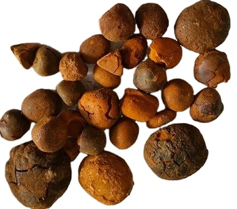 Haoze supply ox gallstones and cow bezoar cow gall stones ox gallstones