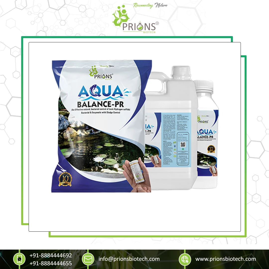 Высококачественные аквакультурные пробиотики, ферменты Aqua Balance-PR для водоочистки прудов и речной воды, доступные для оптовых покупателей