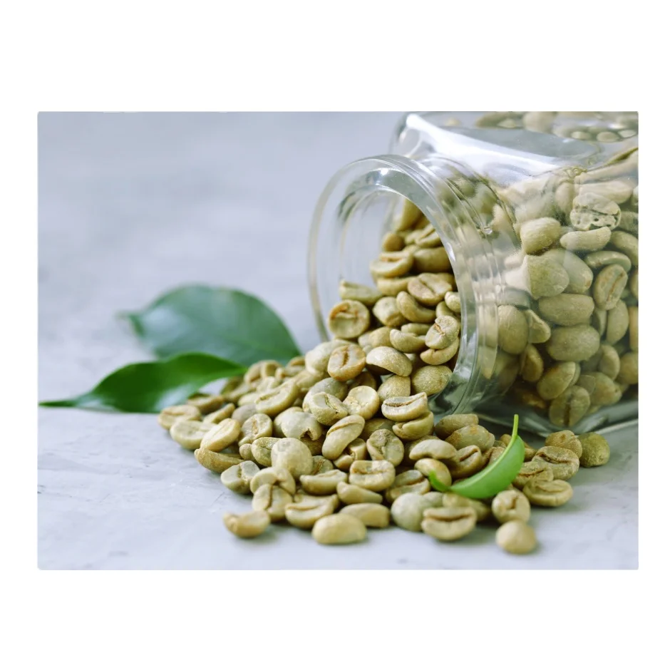 Factory Supply Premium Grade 100% Natural Green Coffee Beans Agricultural Products Wholesale Price Top Quality