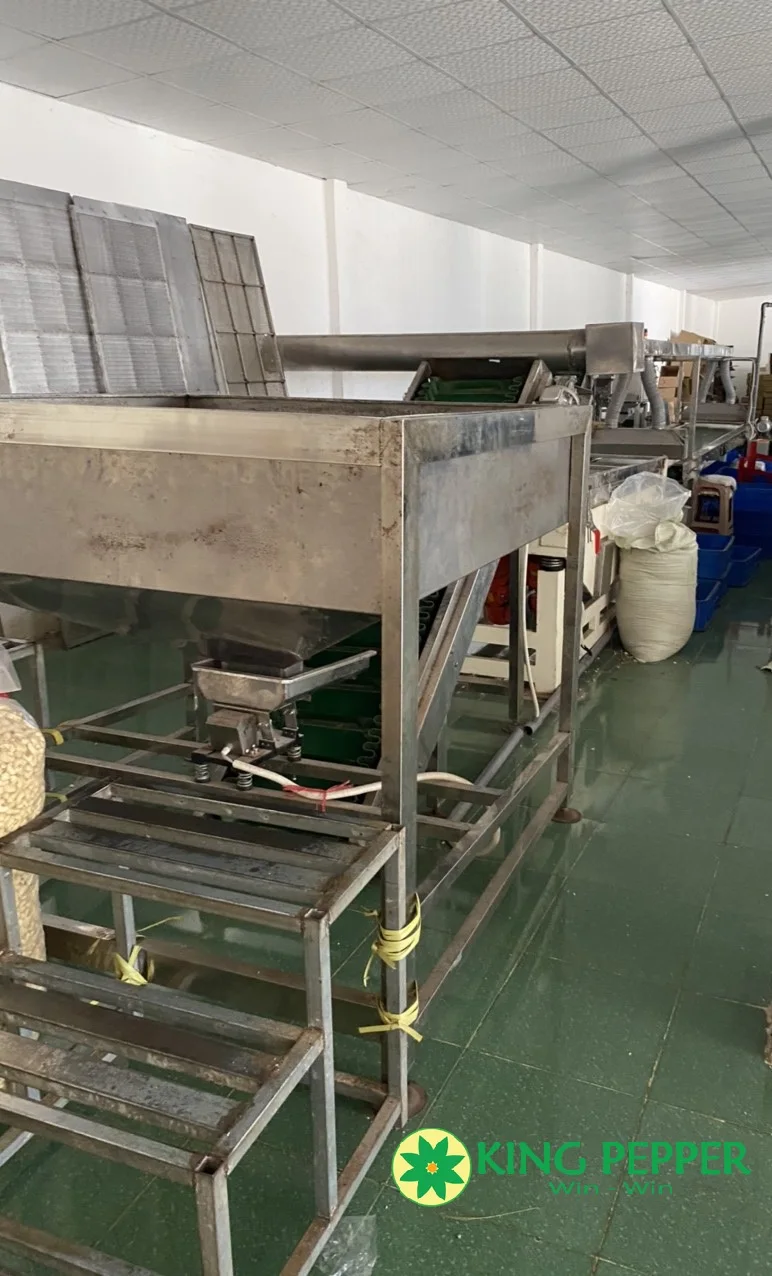 Healthy snacks use and Dried Style CASHEW NUTS WW 240 from Viet Nam supplier