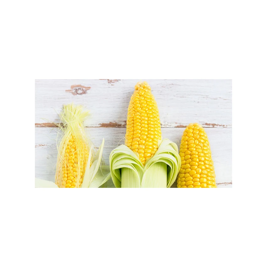 100% Natural Dried Yellow Corn for Ready to Eat Instant Food
