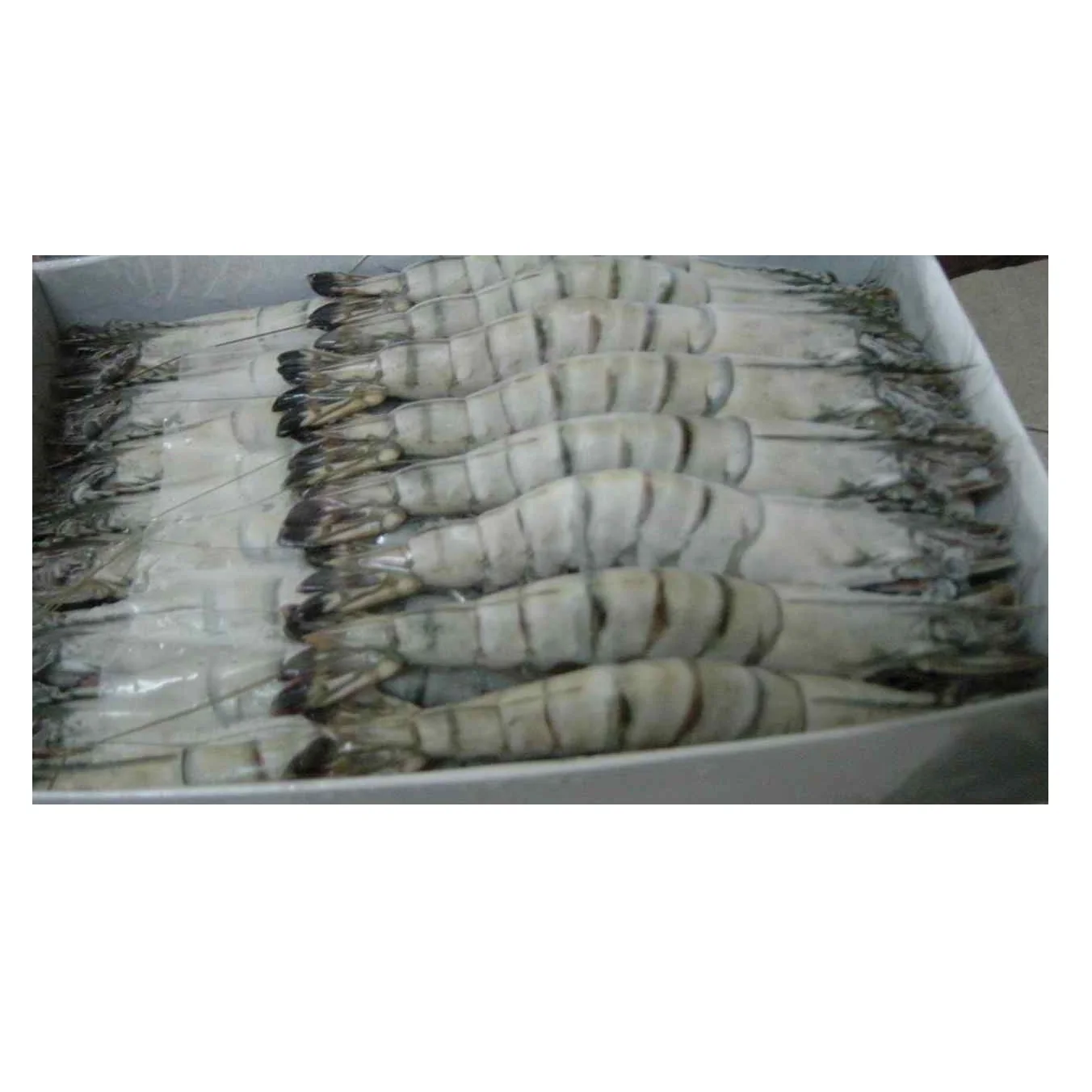 USA Wholesale Shrimps Prices Per Kilogram Prawn Fresh Seafood Meat Frozen Big Size Tiger Shrimp For Sale