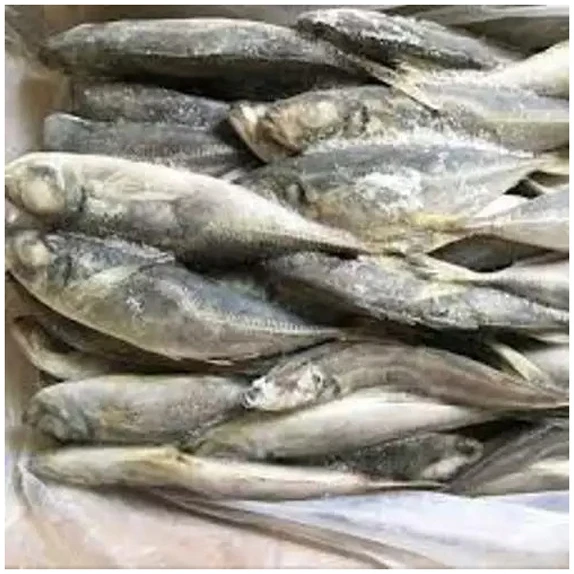 High Quality Seafood Whole Fish Horse Mackerel Frozen Pacific Mackerel Fish For Sale